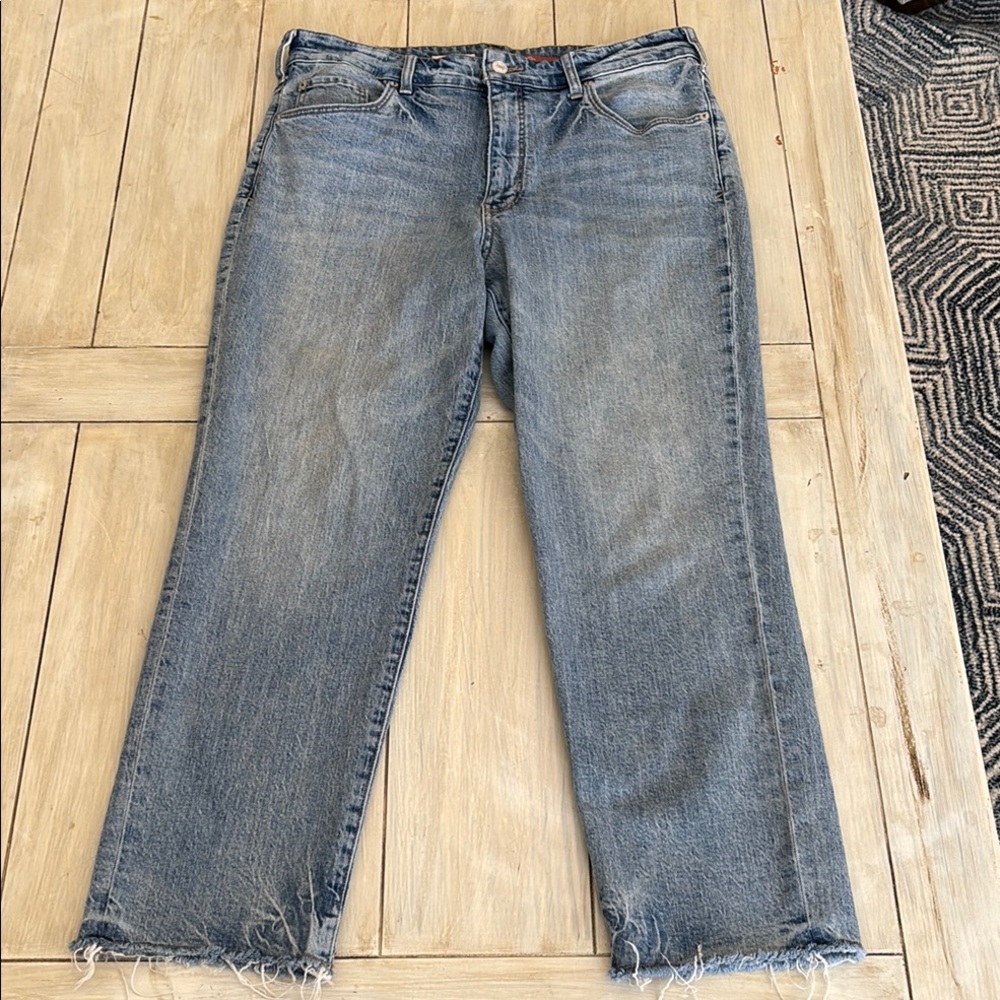 Pilcro Anthropologie Vintage Straight Blue Jeans Size 32